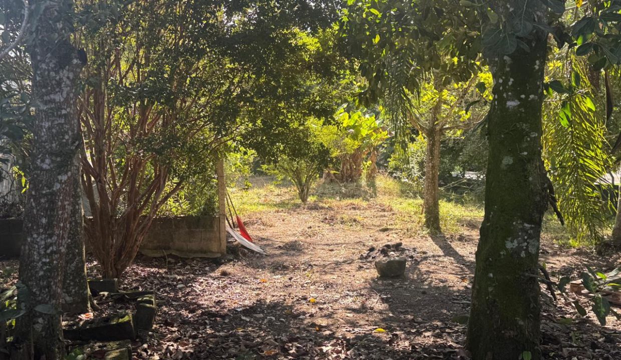 WhatsApp Image 2026-03-30 at 11.41.06 (2)