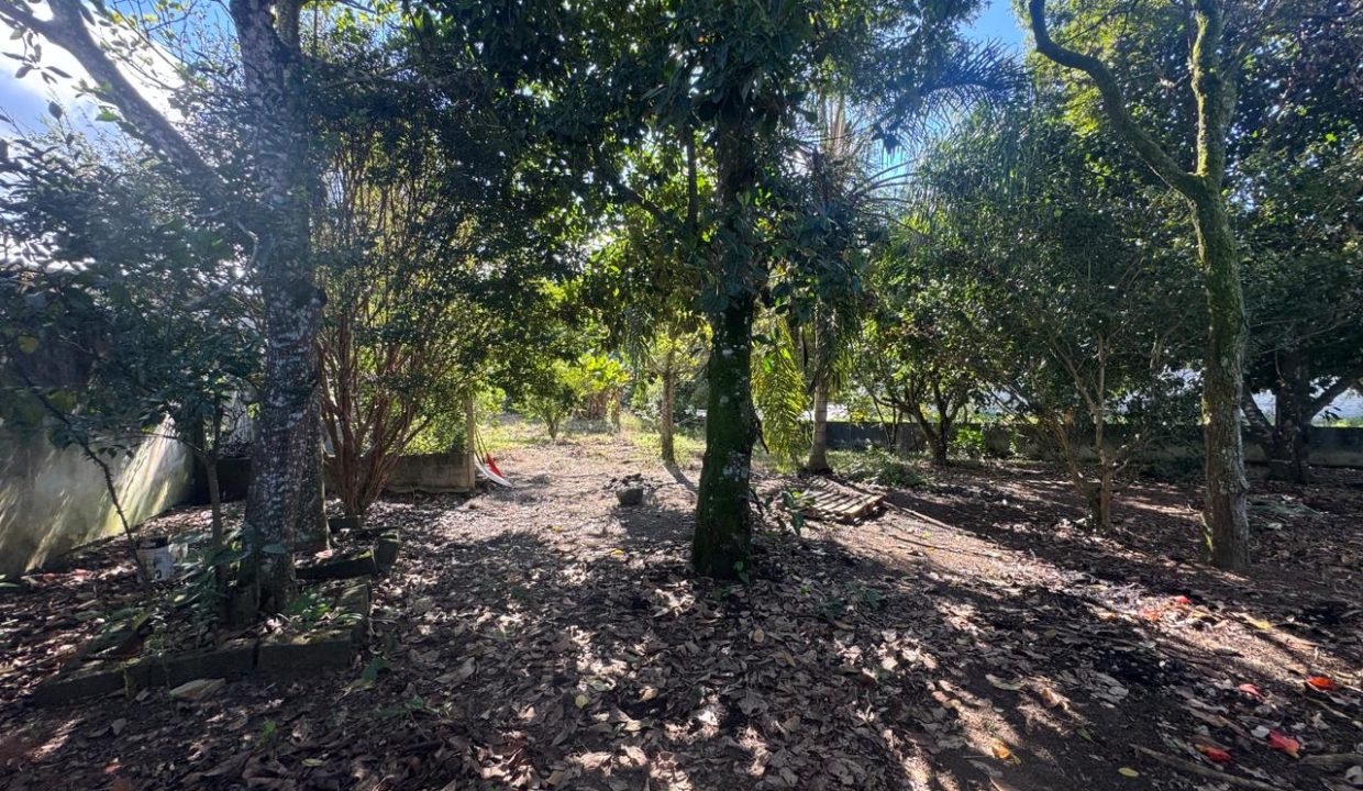 WhatsApp Image 2026-03-30 at 11.41.06 (3)