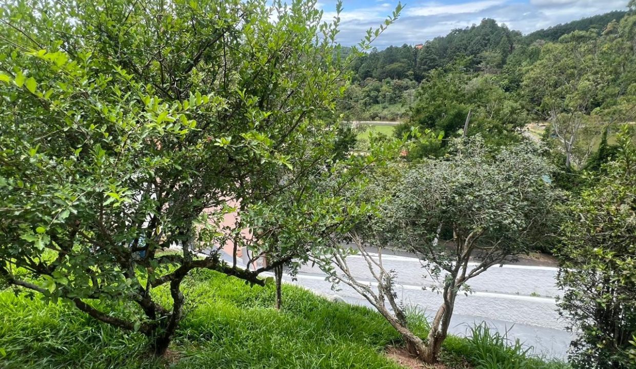 WhatsApp Image 2026-03-31 at 10.51.19