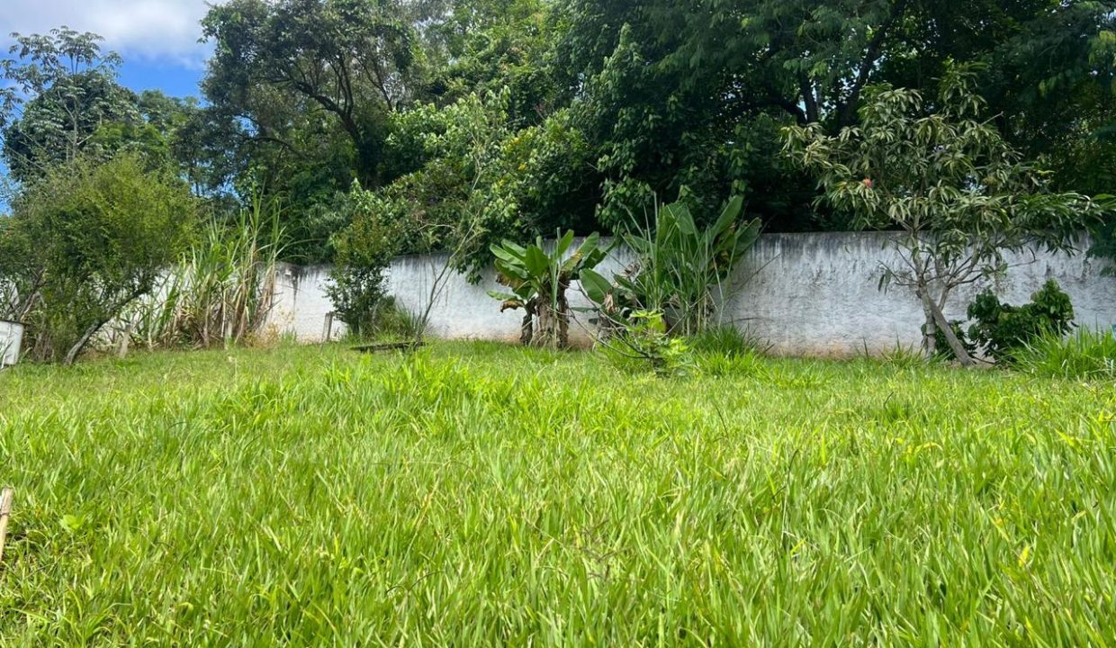 WhatsApp Image 2026-03-31 at 10.51.23 (1)