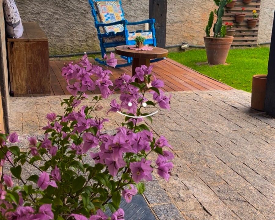 WhatsApp Image 2026-04-13 at 22.38.46 (5)