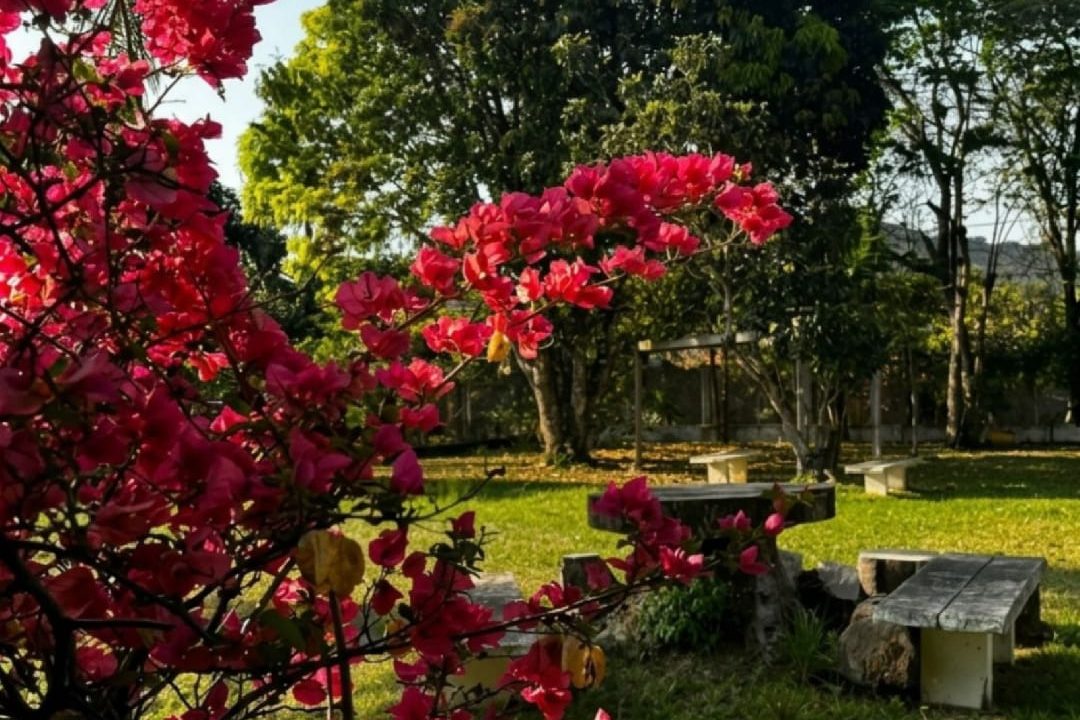 WhatsApp Image 2026-04-16 at 15.43.23 (1)