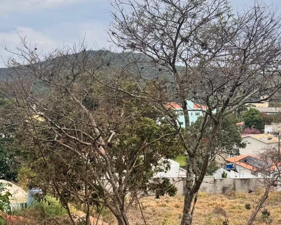 WhatsApp Image 2026-04-23 at 14.22.45 (1)