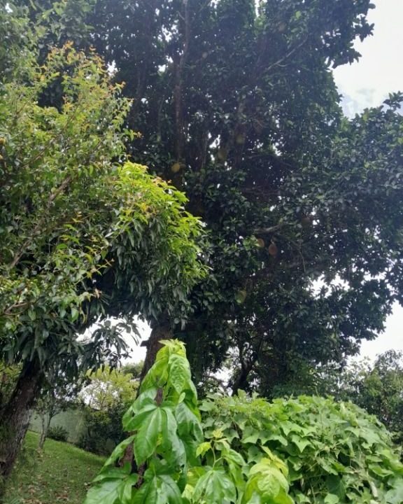 WhatsApp Image 2026-04-23 at 15.43.49 (1)