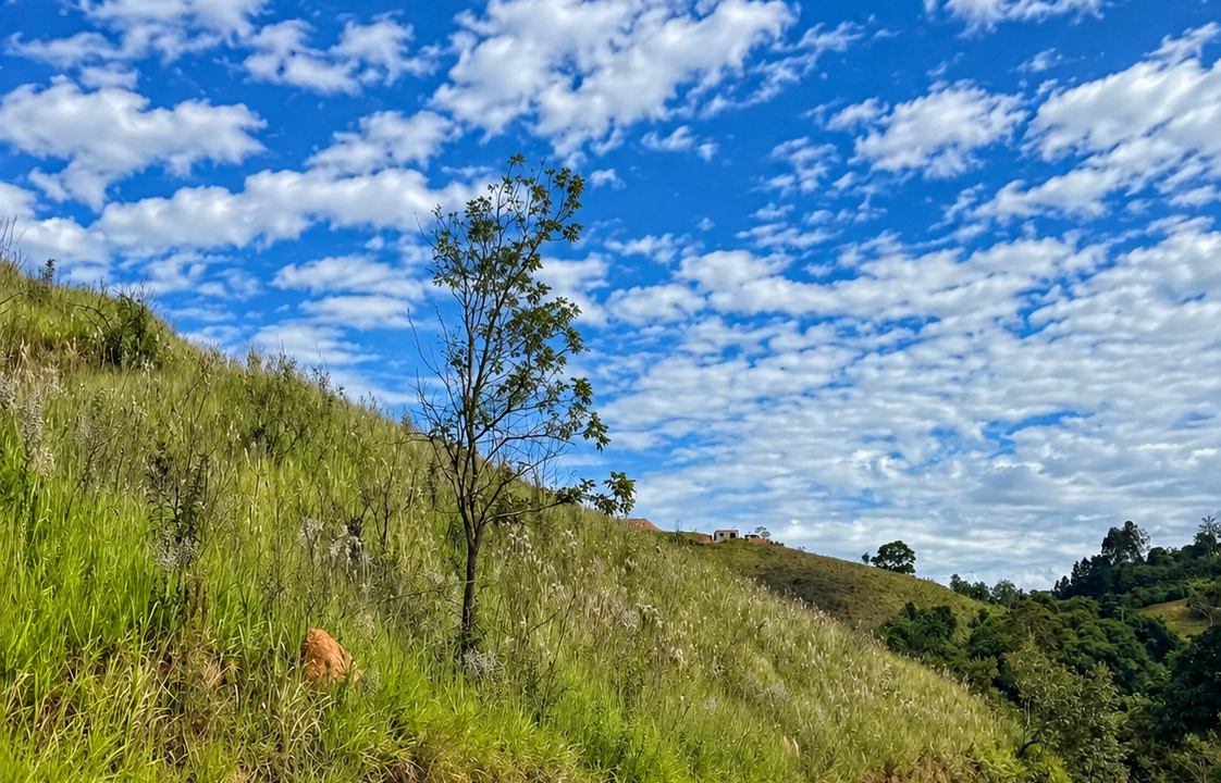 Estrada Rural Sob Céu Azul